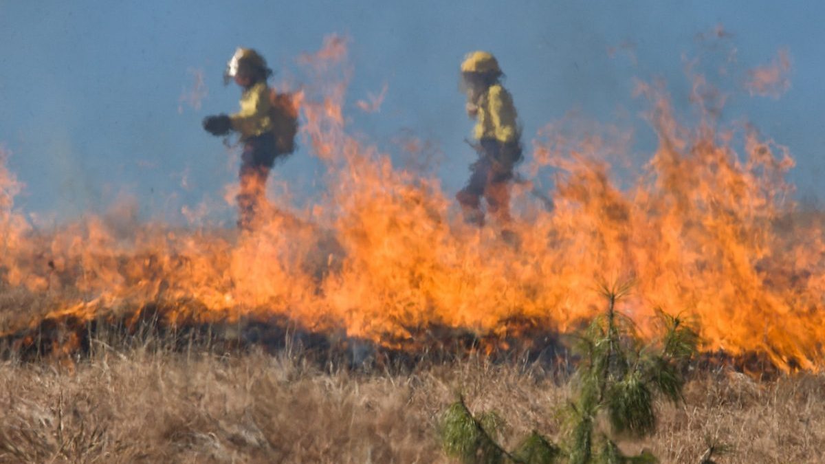 Rinnovabili • Incendi estremi: aumenteranno del 50% entro il 2100