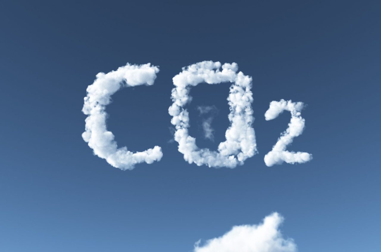 Rinnovabili • rimuovere la CO2 dall'aria