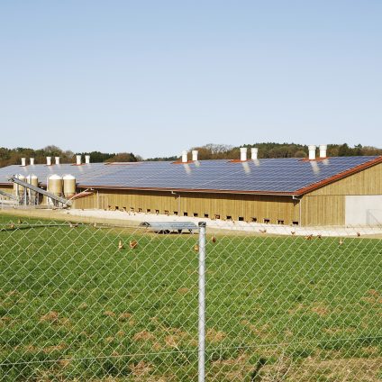 Rinnovabili • fotovoltaico agricolo