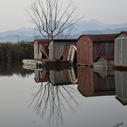 Rinnovabili • massaciuccoli