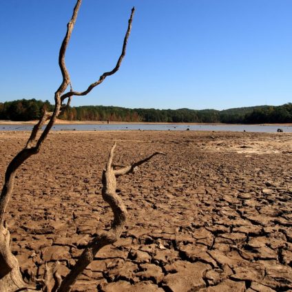 Rinnovabili • Siccità: niente tregua a febbraio, ora preoccupa anche il cuneo salino