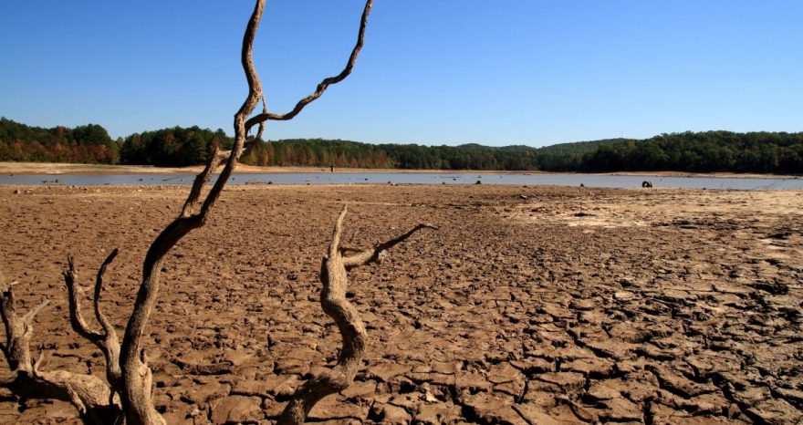 Rinnovabili • Siccità: niente tregua a febbraio, ora preoccupa anche il cuneo salino