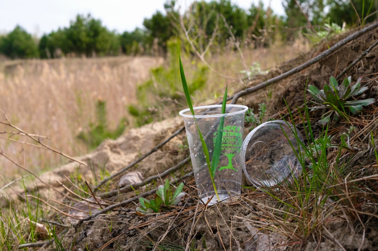 Rinnovabili • alternative alla plastica monouso