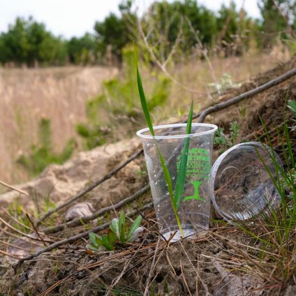 Rinnovabili • alternative alla plastica monouso