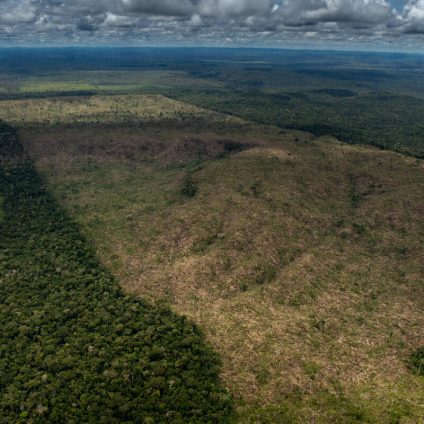 Rinnovabili • Deforestazione in Brasile: è record, scompaiono 1500 campi da calcio al giorno