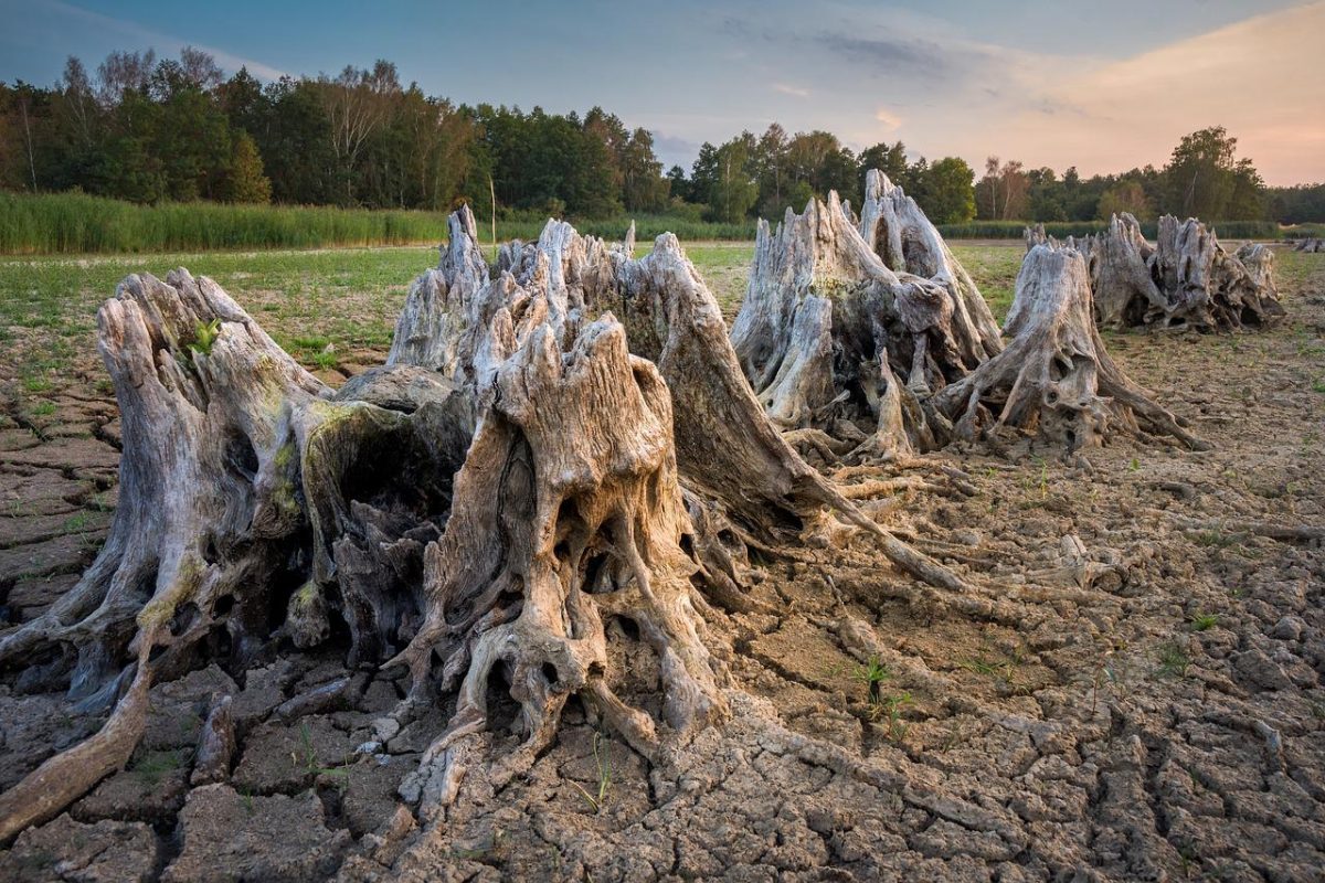 Senza un'azione climatica più ambiziosa, i Paesi del G7 potrebbero perdere  l'8,5% del Pil all'anno entro il 2050 - Greenreport: economia ecologica e  sviluppo sostenibile