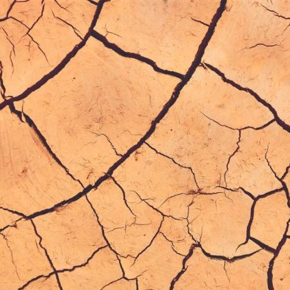 Rinnovabili • Siccità lampo: il cambiamento climatico le rende più rapide