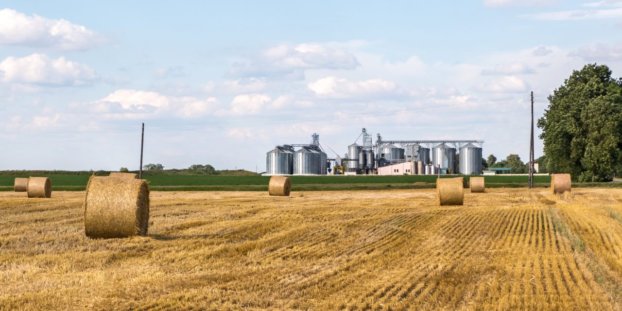 Rinnovabili • settore agroalimentare italiano