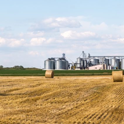 Rinnovabili • settore agroalimentare italiano