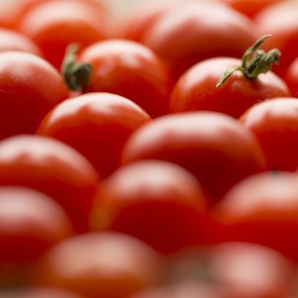 Rinnovabili • Editing del genoma: UK verso l’ok ai pomodori con booster di vitamina D