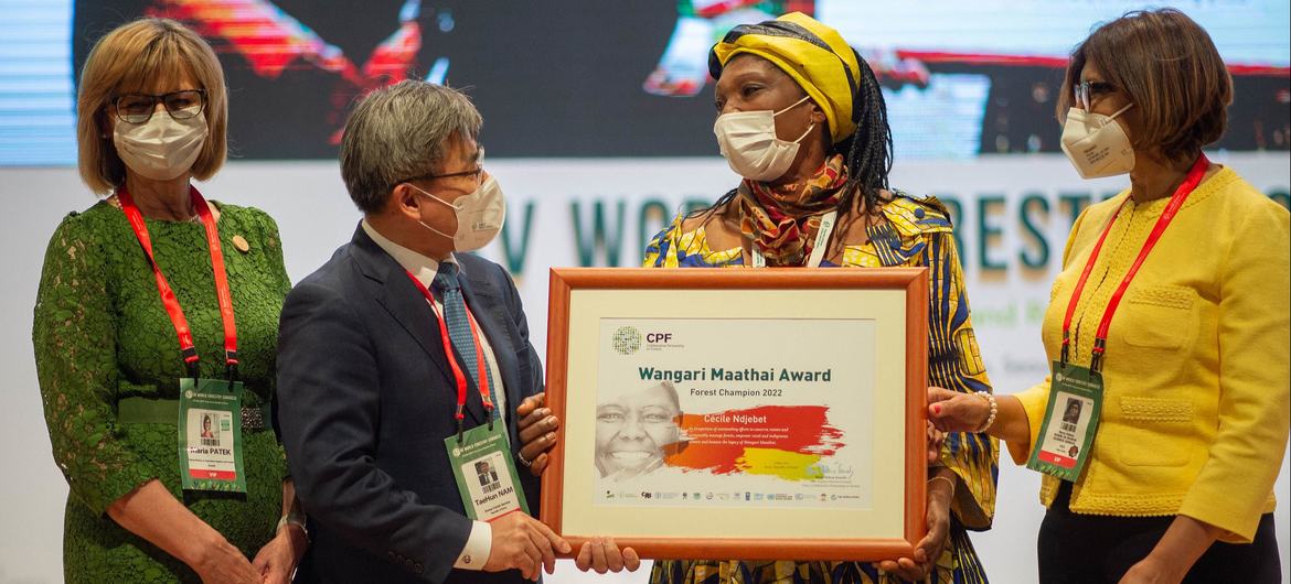 Rinnovabili • Wangari Maathai Forest Champions Award 2022