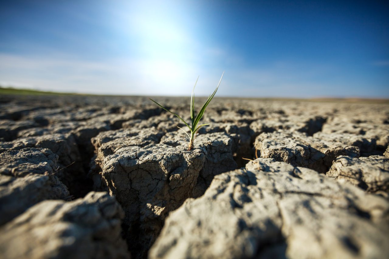 Rinnovabili • Giornata mondiale contro la desertificazione e alla siccità