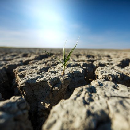 Rinnovabili • Giornata mondiale contro la desertificazione e alla siccità