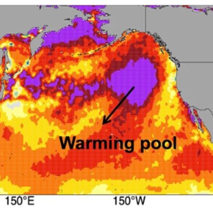 Rinnovabili • Ondate di calore marine: nel Pacifico allungano l’estate di 37 giorni