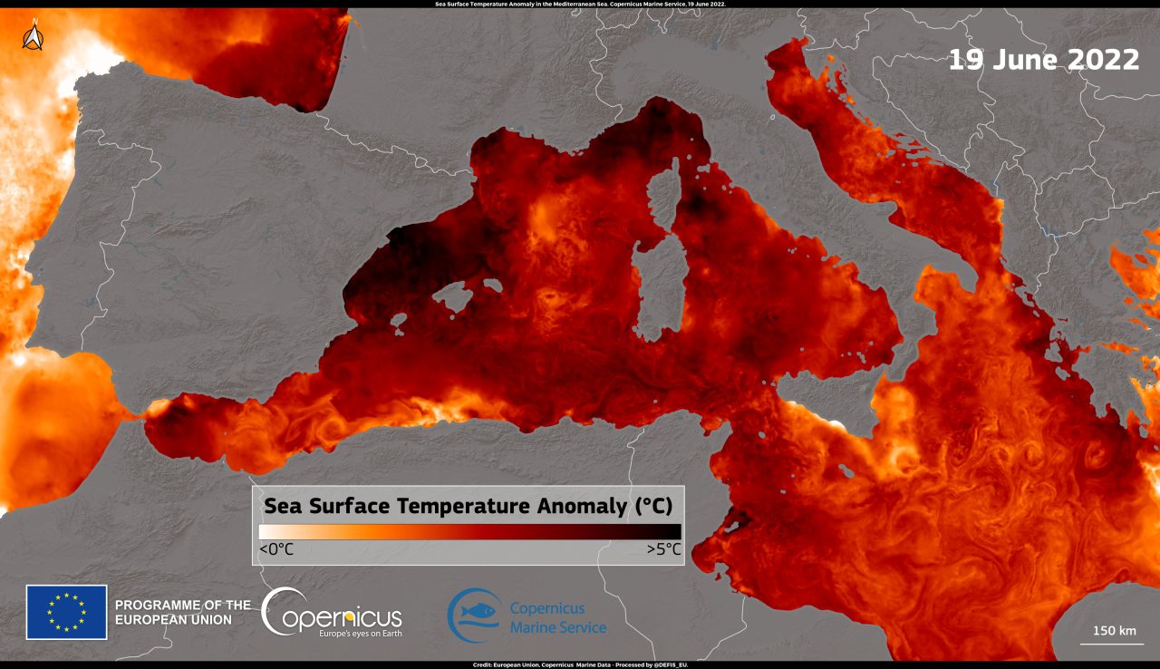 Rinnovabili • Ondate di calore marino: Mediterraneo rovente come nel 2003