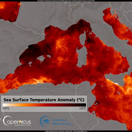 Rinnovabili • Ondate di calore marino: Mediterraneo rovente come nel 2003