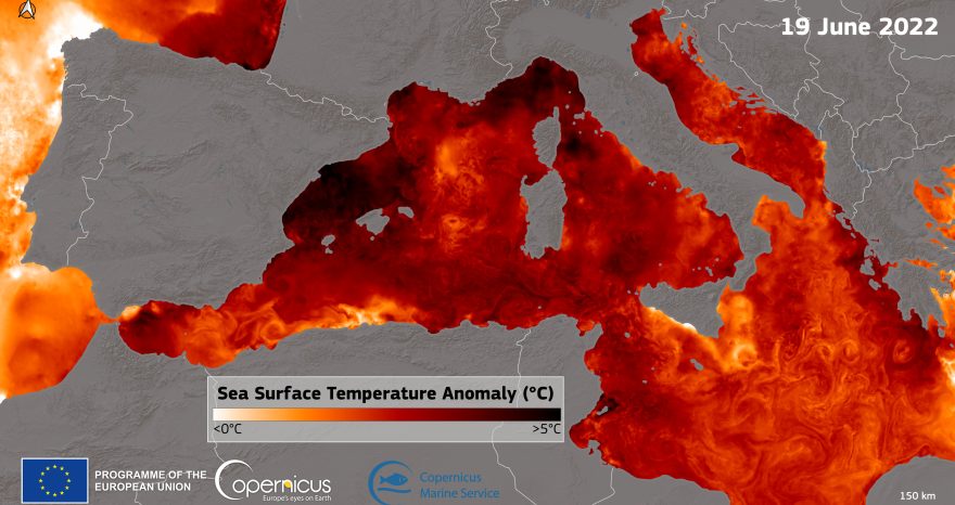 Rinnovabili • Ondate di calore marino: Mediterraneo rovente come nel 2003