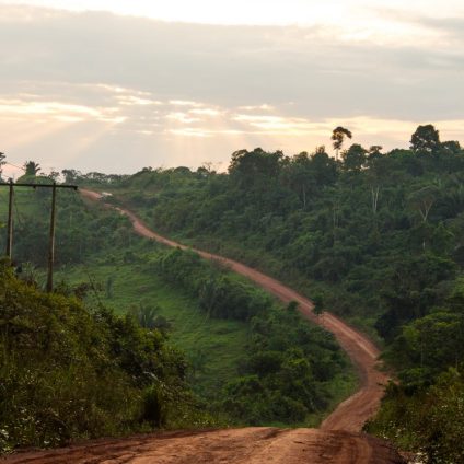 Rinnovabili • Deforestazione: sì al ripristino della BR-319 che taglia in due l’Amazzonia