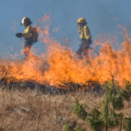 Rinnovabili • Incendi: nell’Europa mediterranea aumentano del 20-30% ogni 10 anni