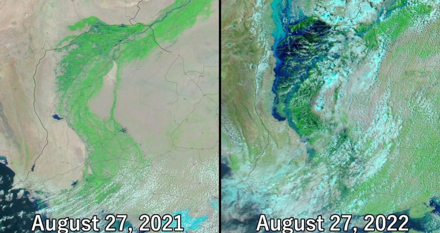 Rinnovabili • Inondazioni in Pakistan: oltre 1000 morti, è “catastrofe climatica”