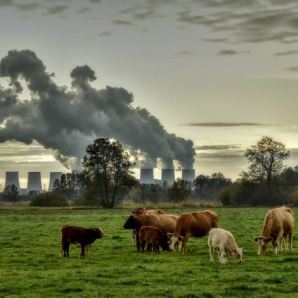 Rinnovabili • Vivere in un ambiente sano: da oggi è un diritto umano