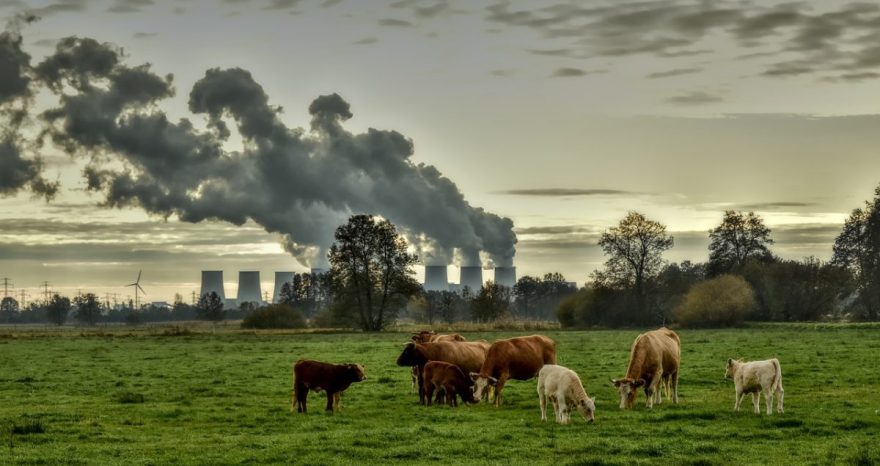 Rinnovabili • Vivere in un ambiente sano: da oggi è un diritto umano