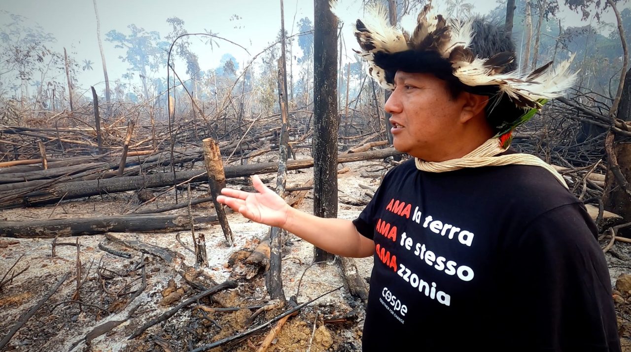 Rinnovabili • amazzonia deforestazione