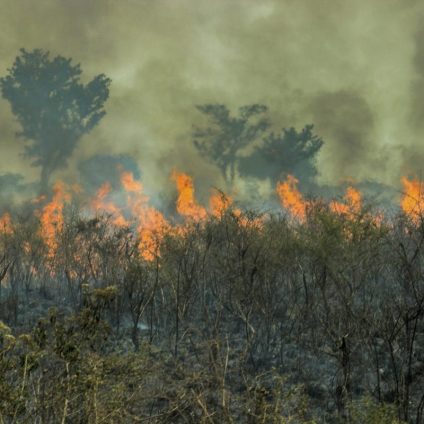 Rinnovabili • Incendi in Amazzonia: già superati i roghi registrati in tutto il 2021