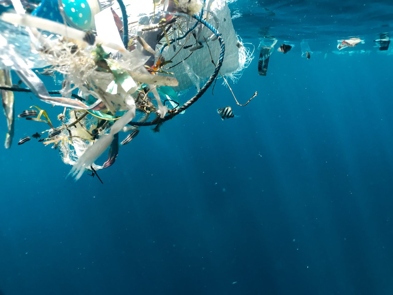 Rinnovabili • Degradazione della plastica e acidificazione degli oceani