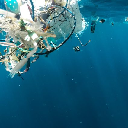 Rinnovabili • Degradazione della plastica e acidificazione degli oceani