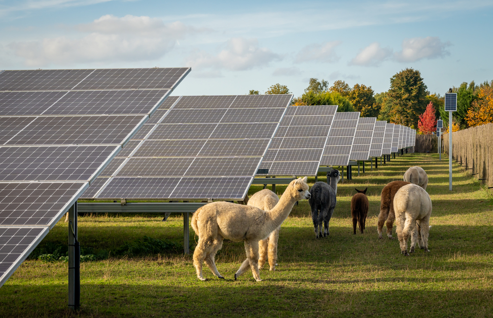 Guida all'energia solare