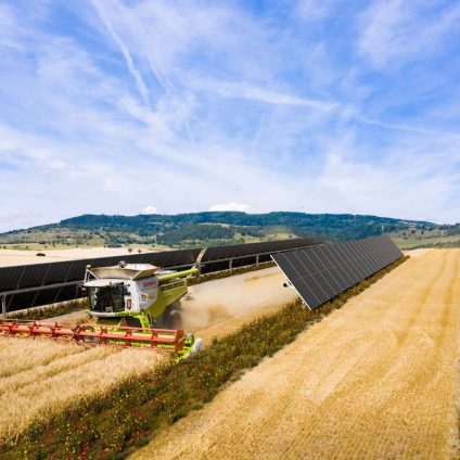 Rinnovabili • PPA agrivoltaico