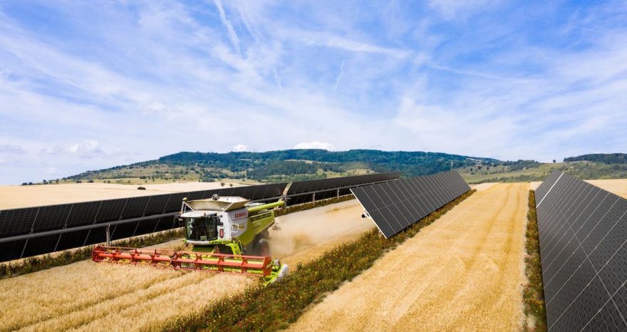 Rinnovabili • PPA agrivoltaico