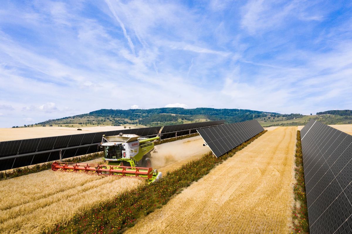 Rinnovabili • PPA agrivoltaico