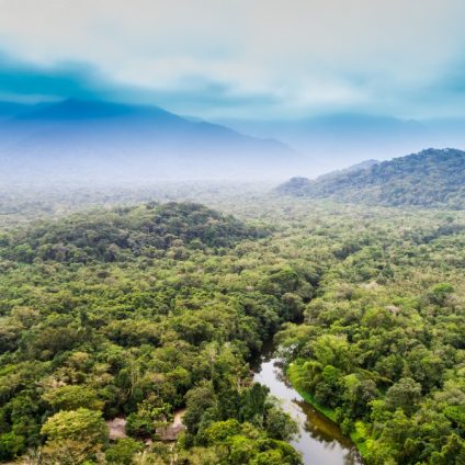 Rinnovabili • Deperimento dell’Amazzonia: sarà a macchia di leopardo