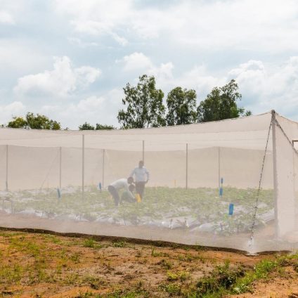 Rinnovabili • cambiamenti climatici