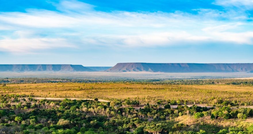 Rinnovabili • Cerrado brasiliano: in 1 anno distrutti 10mila km2 di savana tropicale