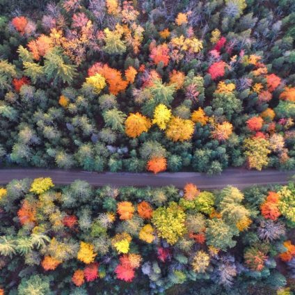 Rinnovabili • Obiettivo 30 x 30: cosa significa per la tutela della natura