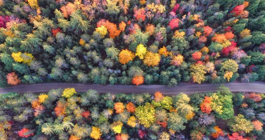 Rinnovabili • Obiettivo 30 x 30: cosa significa per la tutela della natura