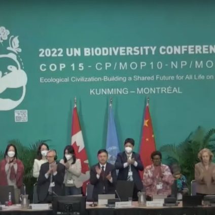 Rinnovabili • Patto globale sulla natura: la COP15 di Montreal approva il Global Biodiversity Framework