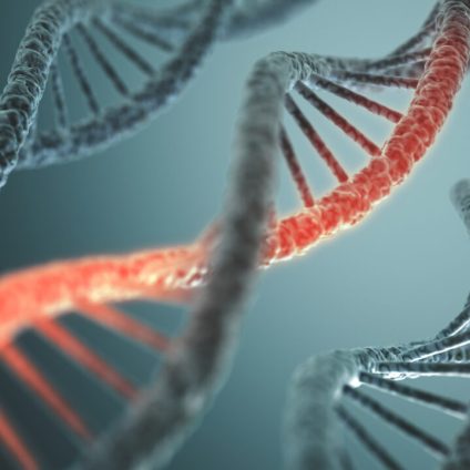 Rinnovabili • Spinta genetica: COP15, una moratoria sul gene drive?