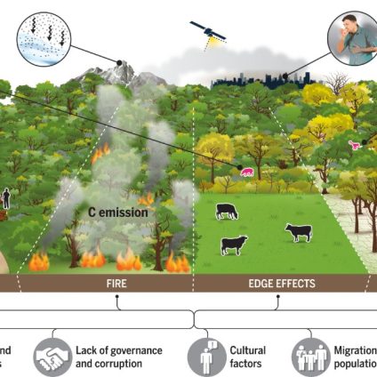 Rinnovabili • Degrado dell’Amazzonia: colpito ormai il 38% della foresta