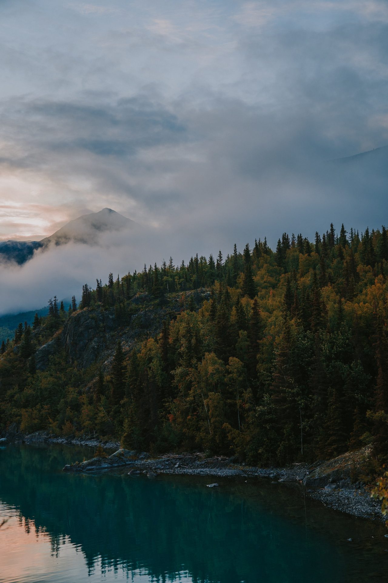 Rinnovabili • Foresta di Tongass: il polmone verde dell’America del Nord è salvo