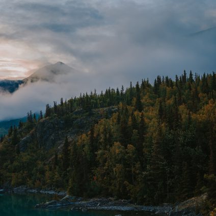 Rinnovabili • Foresta di Tongass: il polmone verde dell’America del Nord è salvo