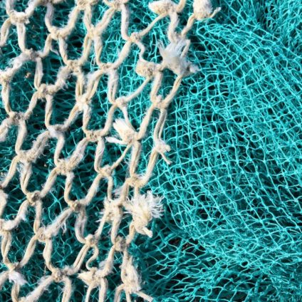 Rinnovabili • Pesca a strascico: UE, stop nelle aree marine protette