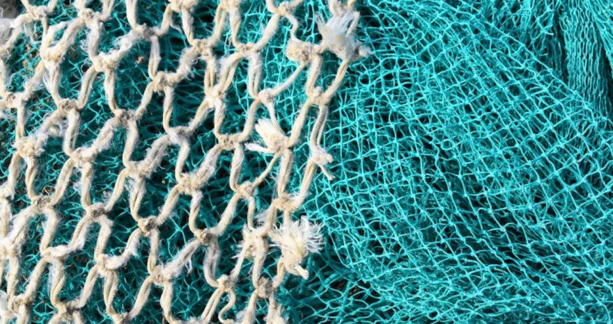 Rinnovabili • Pesca a strascico: UE, stop nelle aree marine protette