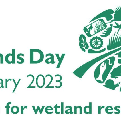 Rinnovabili • Giornata mondiale delle zone umide 2023: il 2 febbraio è il World Wetlands Day