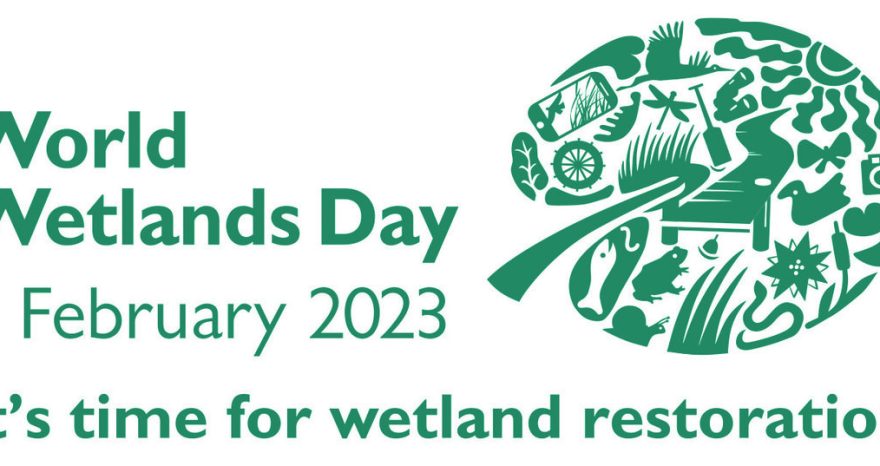 Rinnovabili • Giornata mondiale delle zone umide 2023: il 2 febbraio è il World Wetlands Day