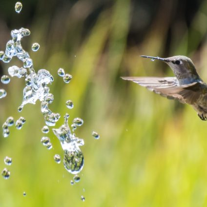 Rinnovabili • Giornata mondiale dell’acqua 2023: oggi è il World Water Day