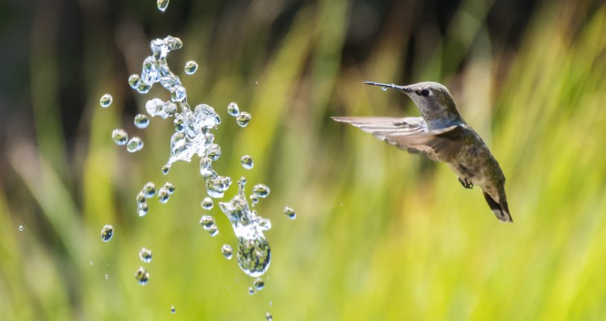 Rinnovabili • Giornata mondiale dell’acqua 2023: oggi è il World Water Day